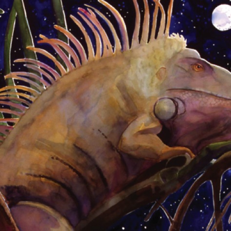 Night of the Iguana
22x30
FRAMED